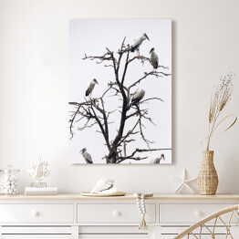 Obraz na płótnie Ptaki siedzące na drzewie