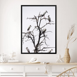 Obraz w ramie Ptaki siedzące na drzewie