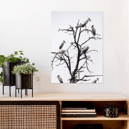 Plakat samoprzylepny Ptaki siedzące na drzewie