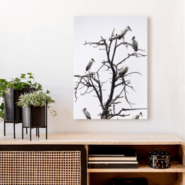 Obraz na płótnie Ptaki siedzące na drzewie