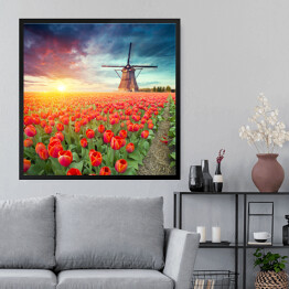 Obraz w ramie Holenderski wiatrak i czerwone tulipany