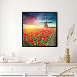 Obraz w ramie Holenderski wiatrak i czerwone tulipany