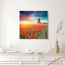Obraz na płótnie Holenderski wiatrak i czerwone tulipany