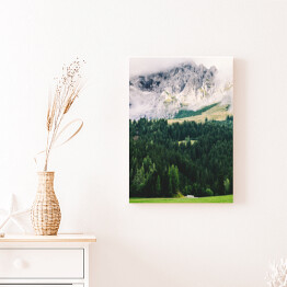 Obraz na płótnie Widok na góry z lasem i łąką w dolinie