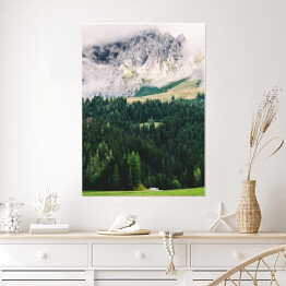 Plakat Widok na góry z lasem i łąką w dolinie