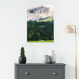 Plakat Widok na góry z lasem i łąką w dolinie