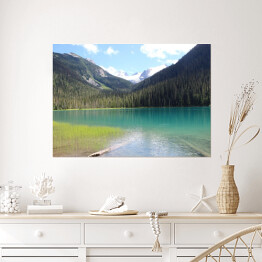 Plakat Jezioro Joffre z malowniczym lasem w tle
