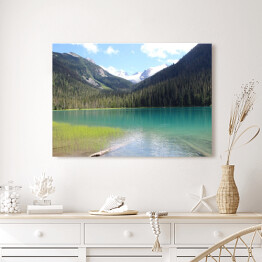 Obraz na płótnie Jezioro Joffre z malowniczym lasem w tle