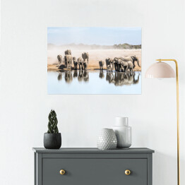 Plakat samoprzylepny Wielka rodzina afrykańskich słoni przy wodopoju, Afryka