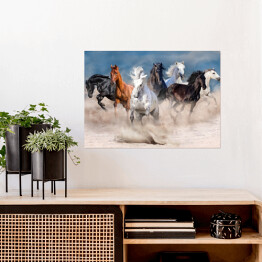 Plakat samoprzylepny Stado wielobarwnych koni w pustynnej burzy piaskowej
