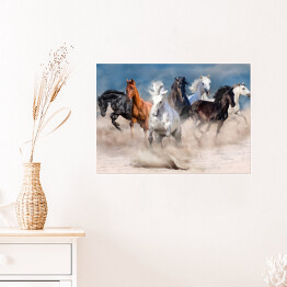 Plakat Stado wielobarwnych koni w pustynnej burzy piaskowej