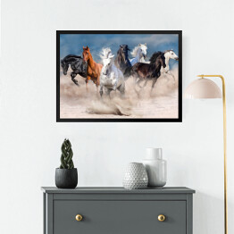 Obraz w ramie Stado wielobarwnych koni w pustynnej burzy piaskowej