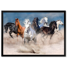 Plakat w ramie Stado wielobarwnych koni w pustynnej burzy piaskowej