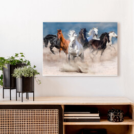Obraz na płótnie Stado wielobarwnych koni w pustynnej burzy piaskowej