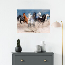 Plakat Stado wielobarwnych koni w pustynnej burzy piaskowej