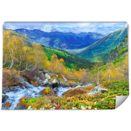 Wodospad w górach Arkhyz - piękny letni krajobraz z lasem i strumieniem wody