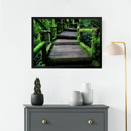 Obraz w ramie Stary uroczy drewniany most w lesie porośnięty bluszczem