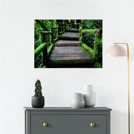 Plakat Stary uroczy drewniany most w lesie porośnięty bluszczem