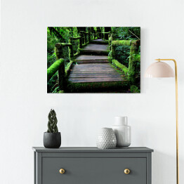 Obraz na płótnie Stary uroczy drewniany most w lesie porośnięty bluszczem