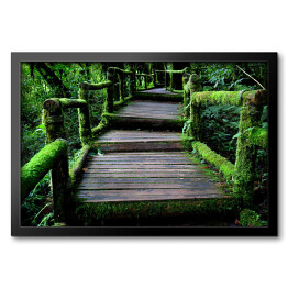 Obraz w ramie Stary uroczy drewniany most w lesie porośnięty bluszczem