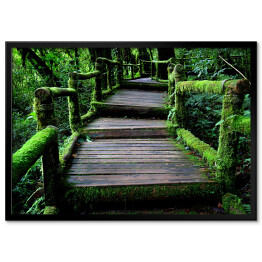 Plakat w ramie Stary uroczy drewniany most w lesie porośnięty bluszczem