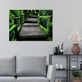 Plakat samoprzylepny Stary uroczy drewniany most w lesie porośnięty bluszczem