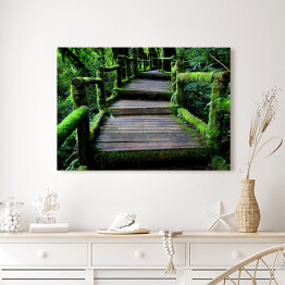 Obraz na płótnie Stary uroczy drewniany most w lesie porośnięty bluszczem