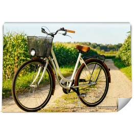 Fototapeta Klasyczny rower w polu kukurydzy
