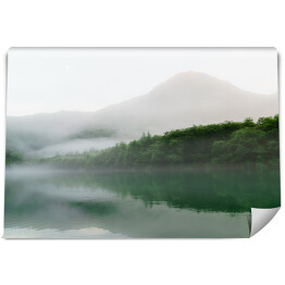 Fototapeta winylowa zmywalna Góry i las w mglisty, deszczowy dzień