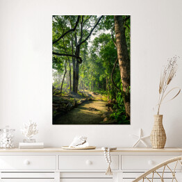Plakat samoprzylepny Ścieżka leśna wiosną