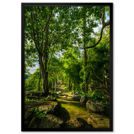 Plakat w ramie Ścieżka leśna wśród zielonych drzew