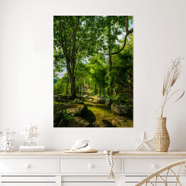 Plakat Ścieżka leśna wśród zielonych drzew