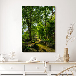Obraz na płótnie Ścieżka leśna wśród zielonych drzew