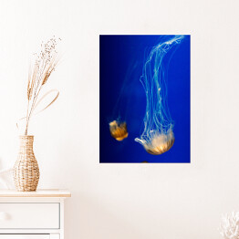 Plakat samoprzylepny Nurkująca meduza w wyrazistych kolorach