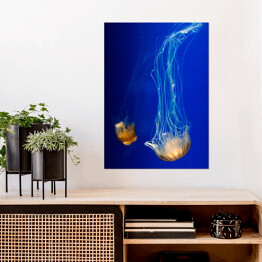Plakat samoprzylepny Nurkująca meduza w wyrazistych kolorach