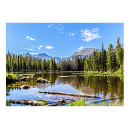 Plakat samoprzylepny Góra i drzewa z lustrzanym odbiciem w jeziorze, Park Narodowy, Kolorado