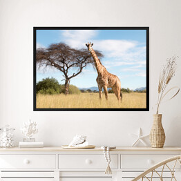 Obraz w ramie Wielka żyrafa w Parku Narodowym