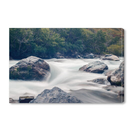 Obraz na płótnie Strumień rzeki rozbijający się o skały w lesie
