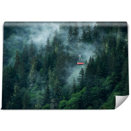 Fototapeta samoprzylepna Kolejka górska w chmurach nad zamglonym lasem