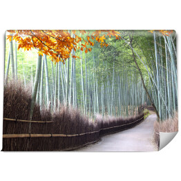 Fototapeta samoprzylepna Bambusowy las Arashiyama w pobliżu Kioto jesienią, Japonia