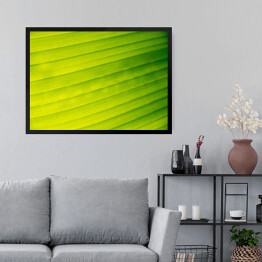Obraz w ramie Żółto zielony bananowy liść 