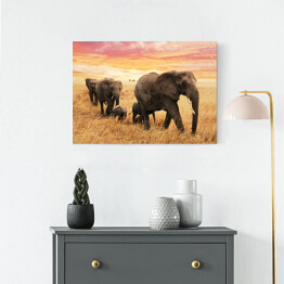 Obraz na płótnie Rodzina słoni na ścieżce na sawannie
