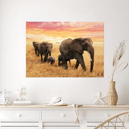 Plakat samoprzylepny Rodzina słoni na ścieżce na sawannie