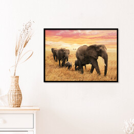 Plakat w ramie Rodzina słoni na ścieżce na sawannie