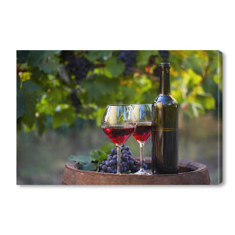Obraz na płótnie Dwa kieliszki czerwonego wina i butelki w winnicy