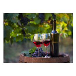 Plakat Dwa kieliszki czerwonego wina i butelki w winnicy