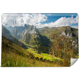 Fototapeta samoprzylepna Widok na góry z roślinnością na pierwszym planie, Alpy, Szwajcaria