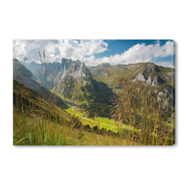 Obraz na płótnie Widok na góry z roślinnością na pierwszym planie, Alpy, Szwajcaria