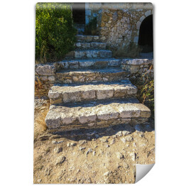Fototapeta Kamienne schody prowadzące w głąb parku