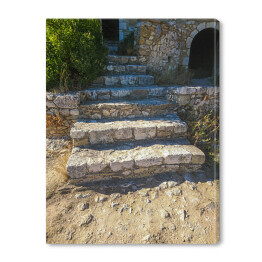 Obraz na płótnie Kamienne schody prowadzące w głąb parku